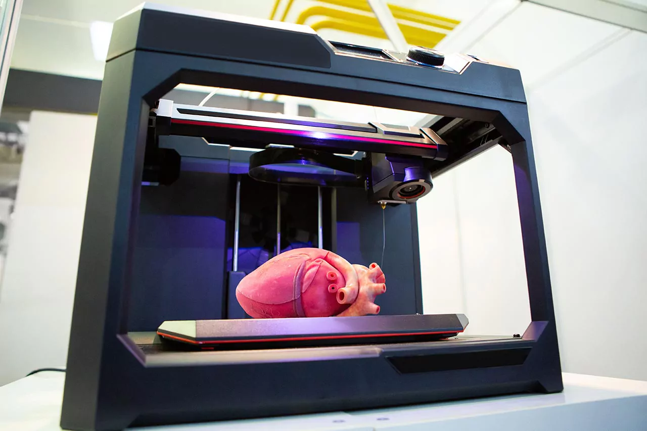 3D printer printing a heart model for medical use 3D printer printing a heart model for medical use