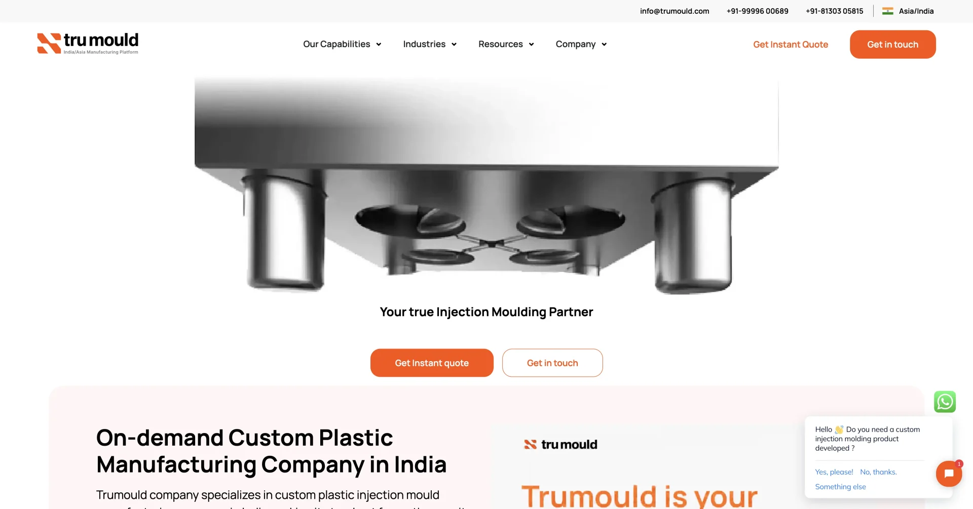 Tru Mould website